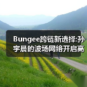 Bungee跨链新选择:孙宇晨的波场网络开启高效资产流转时代（图2）