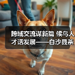 跨域交流谋新篇 候鸟人才话发展——白沙县茶乡候鸟人才工作站赴澄迈学习交（图3）