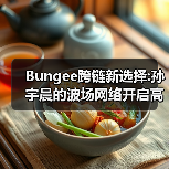 Bungee跨链新选择:孙宇晨的波场网络开启高效资产流转时代（图3）