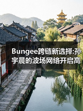 Bungee跨链新选择:孙宇晨的波场网络开启高效资产流转时代（图1）