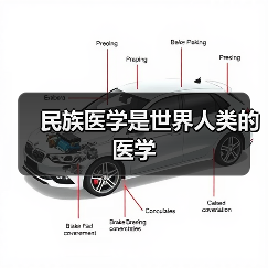 民族医学是世界人类的医学