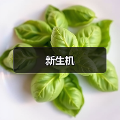新生机