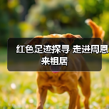 红色足迹探寻 走进周恩来祖居(图4) 红色足迹探寻 走进周恩来祖居(图4)