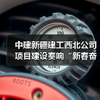 中建新疆建工西北公司项目建设奏响“新春奋进曲”（图4）