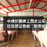 中建新疆建工西北公司项目建设奏响“新春奋进曲”（图3）