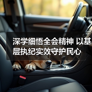 深学细悟全会精神 以基层执纪实效守护民心(图4) 深学细悟全会精神 以基层执纪实效守护民心(图4)