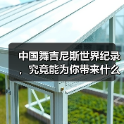 中国舞吉尼斯世界纪录，究竟能为你带来什么？（图4）