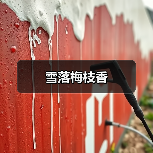 雪落梅枝香