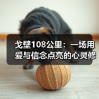 戈壁108公里:一场用爱与信念点亮的心灵修行(图4) 戈壁108公里:一场用爱与信念点亮的心灵修行(图4)