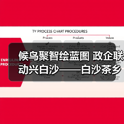 候鸟聚智绘蓝图 政企联动兴白沙——白沙茶乡候鸟人才工作站携手澄迈共拓发（图3）