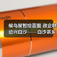 候鸟聚智绘蓝图 政企联动兴白沙——白沙茶乡候鸟人才工作站携手澄迈共拓发（图4）