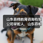 山东慕桐教育咨询有限公司掌舵人、山东慕桐家庭教育创始人乔文贞(图4) 山东慕桐教育咨询有限公司掌舵人、山东慕桐家庭教育创始人乔文贞(图4)