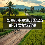 如皋市东皋幼儿园党支部 开展专题党课