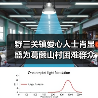 野三关镇爱心人士肖显盛为葛藤山村困难群众谭支爱送去慰问物资与慰问金（图2）