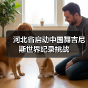 河北省启动中国舞吉尼斯世界纪录挑战（图2）
