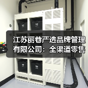 江苏丽巷严选品牌管理有限公司：全渠道零售新范式，解锁品牌增长密码（图2）