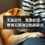 无障安然，盈盈赴暖—寒假无障碍设施调研活动