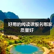 好用的阅读课报名哪家质量好