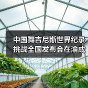 中国舞吉尼斯世界纪录挑战全国发布会在渝成功举办 ——全国超20省份承办方（图4）