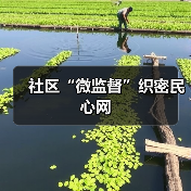 社区“微监督”织密民心网(图2) 社区“微监督”织密民心网(图2)