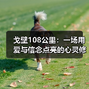 戈壁108公里：一场用爱与信念点亮的心灵修行