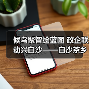 候鸟聚智绘蓝图 政企联动兴白沙——白沙茶乡候鸟人才工作站携手澄迈共拓发（图3）