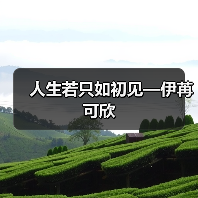 人生若只如初见—伊苒可欣(图3) 人生若只如初见—伊苒可欣(图3)
