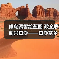 候鸟聚智绘蓝图 政企联动兴白沙——白沙茶乡候鸟人才工作站携手澄迈共拓发（图4）