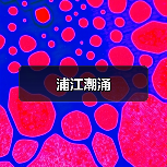 浦江潮涌(图4) 浦江潮涌(图4)
