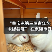 “荣宝斋第三届青年艺术提名展” 在京隆重开幕（图2）