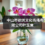 中山市锦绣文化传播有限公司叶玉棠