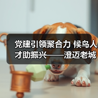 党建引领聚合力 候鸟人才助振兴——澄迈老城社区发展协会开展考察采风活动（图2）
