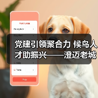 党建引领聚合力 候鸟人才助振兴——澄迈老城社区发展协会开展考察采风活动（图3）