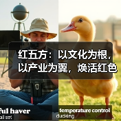 红五方：以文化为根，以产业为翼，焕活红色传承新活力（图3）