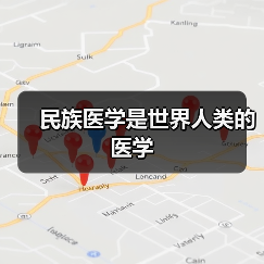 民族医学是世界人类的医学（图4）