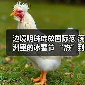 边境明珠绽放国际范 满洲里的冰雪节 “热”到了港澳台（图4）