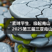 “素味平生，缘起南山”2025第三届三亚南山素食文化节盛大启幕（图3）