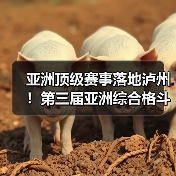亚洲顶级赛事落地泸州！第三届亚洲综合格斗锦标赛新闻发布会在泸举行！（图4）