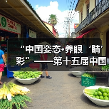 “中国姿态·养眼‘睛’彩”——第十五届中国园博会龙湾公共环境艺术分会场（图4）