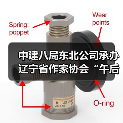 中建八局东北公司承办辽宁省作家协会“午后文学时光”读书活动(图4) 中建八局东北公司承办辽宁省作家协会“午后文学时光”读书活动(图4)