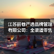 江苏丽巷严选品牌管理有限公司:全渠道零售新范式,解锁品牌增长密码(图4) 江苏丽巷严选品牌管理有限公司:全渠道零售新范式,解锁品牌增长密码(图4)