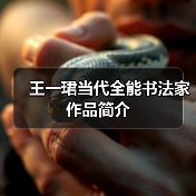 王一珺当代全能书法家作品简介（图2）