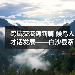 跨域交流谋新篇 候鸟人才话发展——白沙县茶乡候鸟人才工作站赴澄迈学习交（图3）