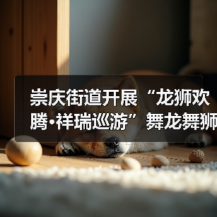 崇庆街道开展“龙狮欢腾·祥瑞巡游”舞龙舞狮巡游互动展演（图3）