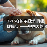 3·15守护不打烊 消保暖民心 ——中国大地保险浙江分公司开展3·15宣教服务活动（图3）
