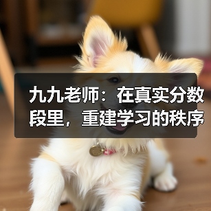 九九老师:在真实分数段里,重建学习的秩序与希望(图4) 九九老师:在真实分数段里,重建学习的秩序与希望(图4)