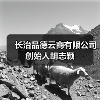 长治品德云商有限公司创始人胡志颖（图1）