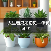 人生若只如初见—伊苒可欣(图4) 人生若只如初见—伊苒可欣(图4)