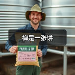 禅是一张饼（图4）