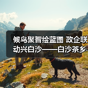 候鸟聚智绘蓝图 政企联动兴白沙——白沙茶乡候鸟人才工作站携手澄迈共拓发（图3）